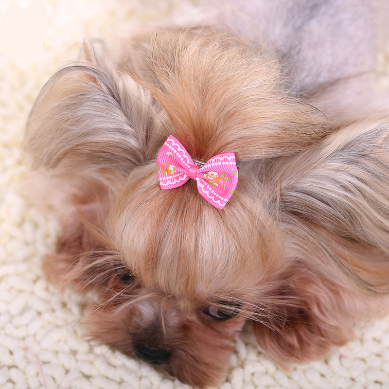 Pet Supplies York - Jepit Rambut Baru untuk Anjing Anak