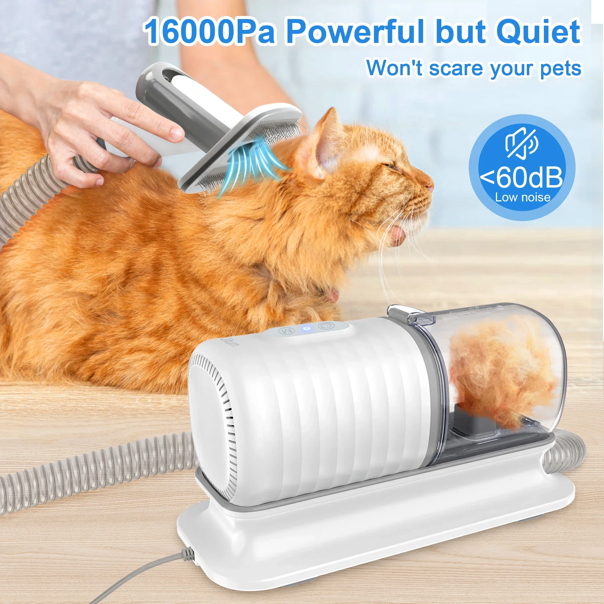 Set sikat mandi anjing, perlen - Pet Supplies In Store ulasan dan harga