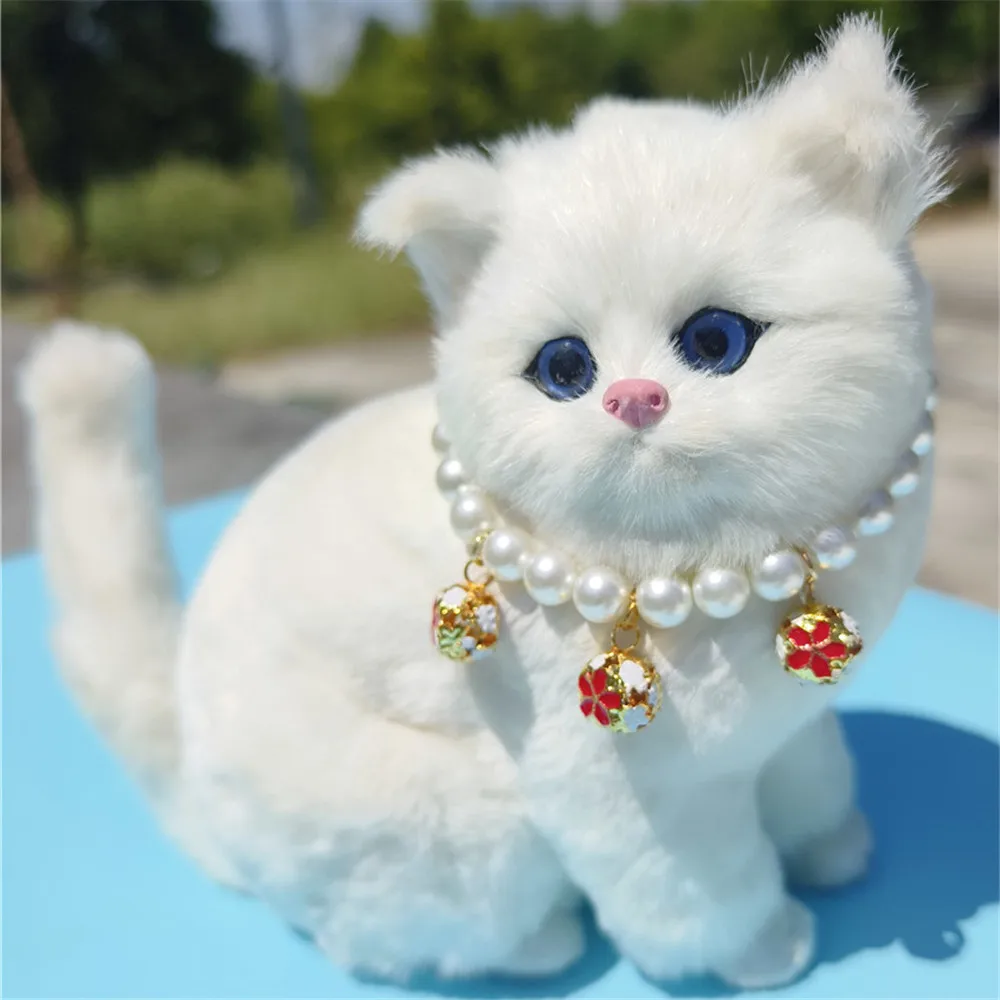Kalung hewan peliharaan kucing - Pet Supplies York ulasan dan harga