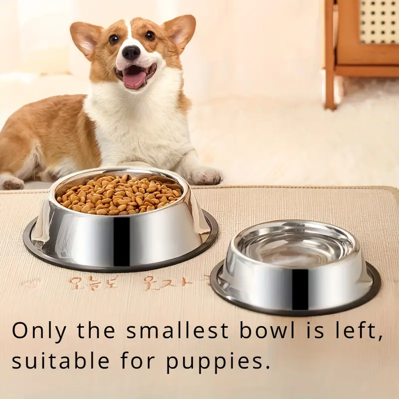 Mangkuk anjing Stainless Steel - Pet Supplies Dropshipping ulasan dan harga