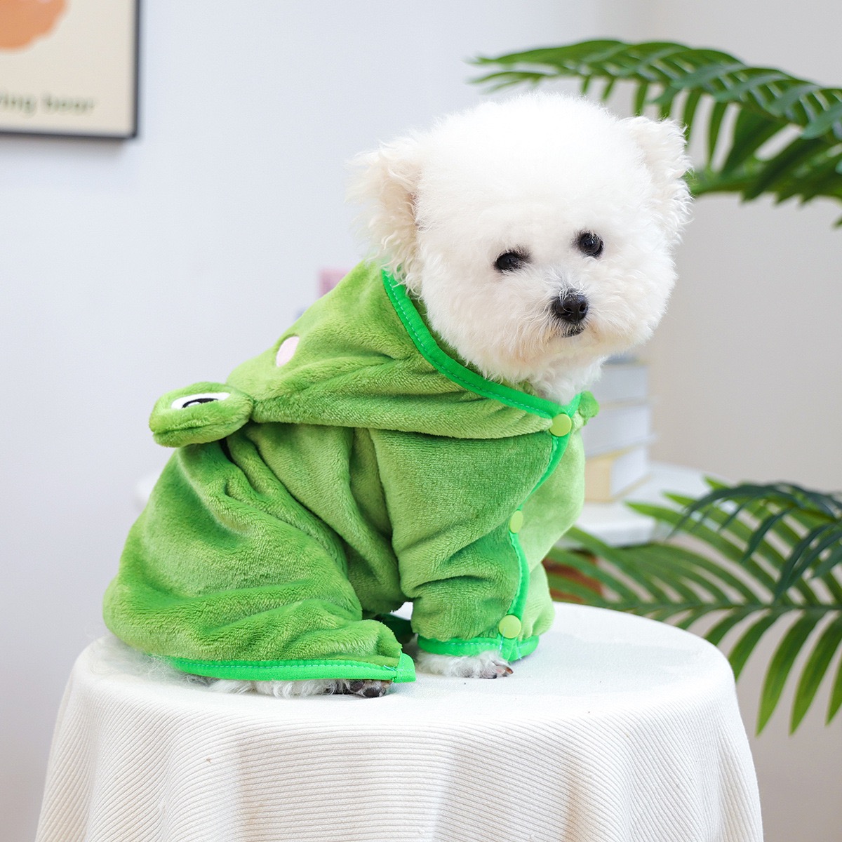 Jubah Hoodie Katak One Piece u - Pet Supplies York ulasan dan harga