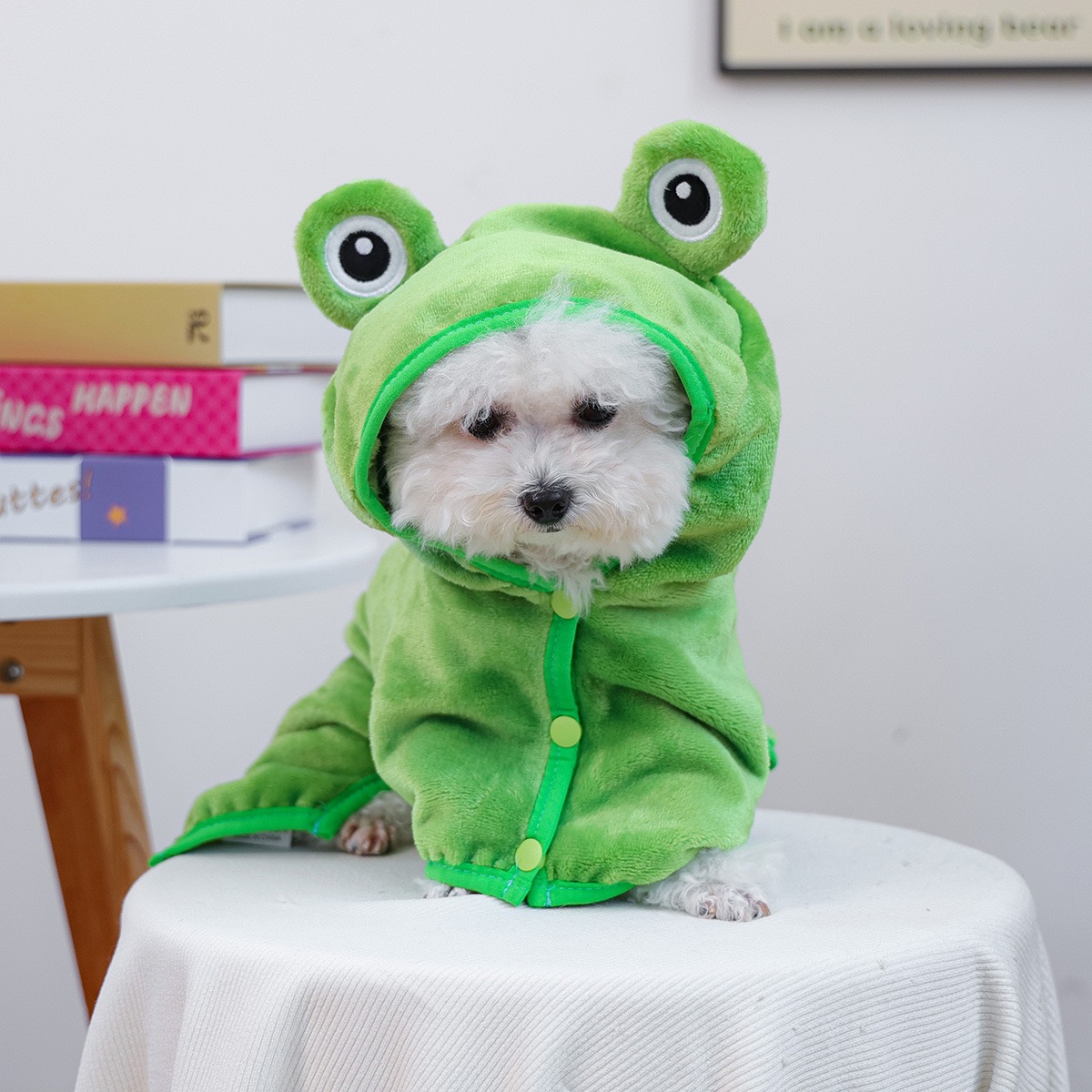Jubah Hoodie Katak One Piece u - Pet Supplies York ulasan dan harga