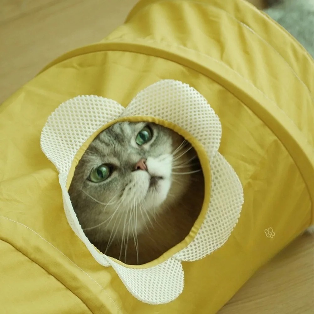 Terowongan Kucing Spiral Lipat - Pet Supplies In Store ulasan dan harga