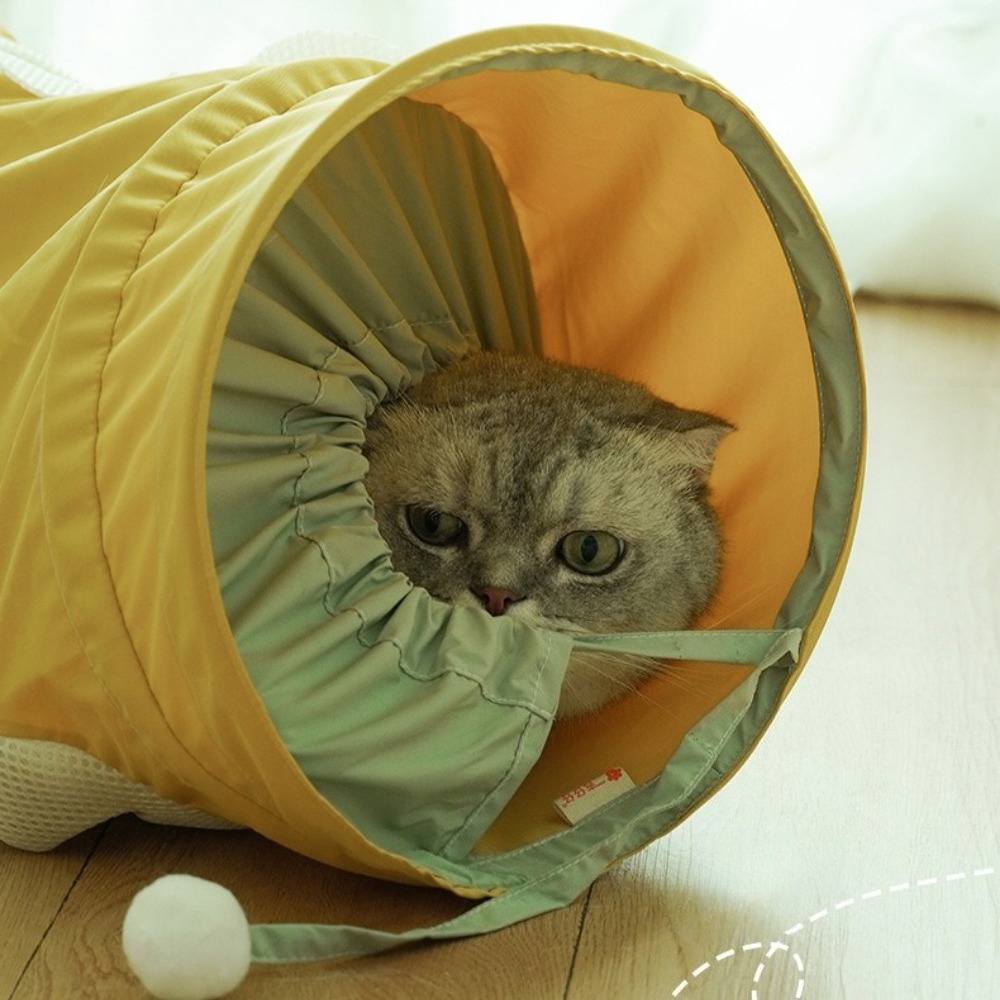 Terowongan Kucing Spiral Lipat - Pet Supplies In Store ulasan dan harga