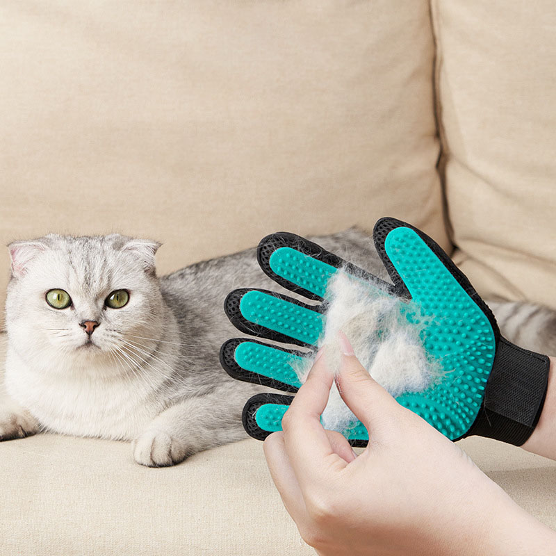 Sarung Tangan Perawatan Hewan  - Pet Supplies Dropshipping ulasan dan harga