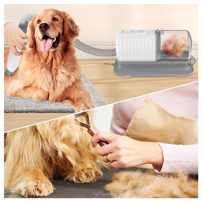 Set sikat mandi anjing, perlen - Pet Supplies In Store ulasan dan harga