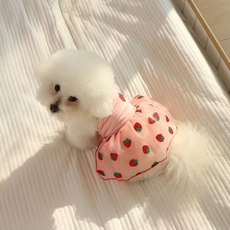 Rok Putri Tipis Musim Panas un - Pet Supplies York ulasan dan harga