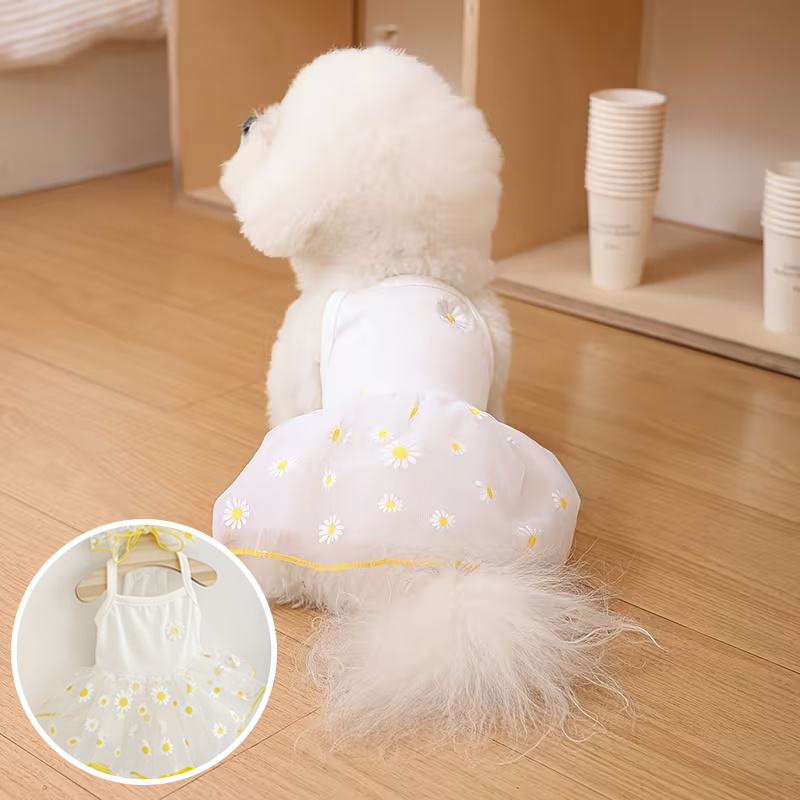 Rok Putri Tipis Musim Panas un - Pet Supplies York ulasan dan harga