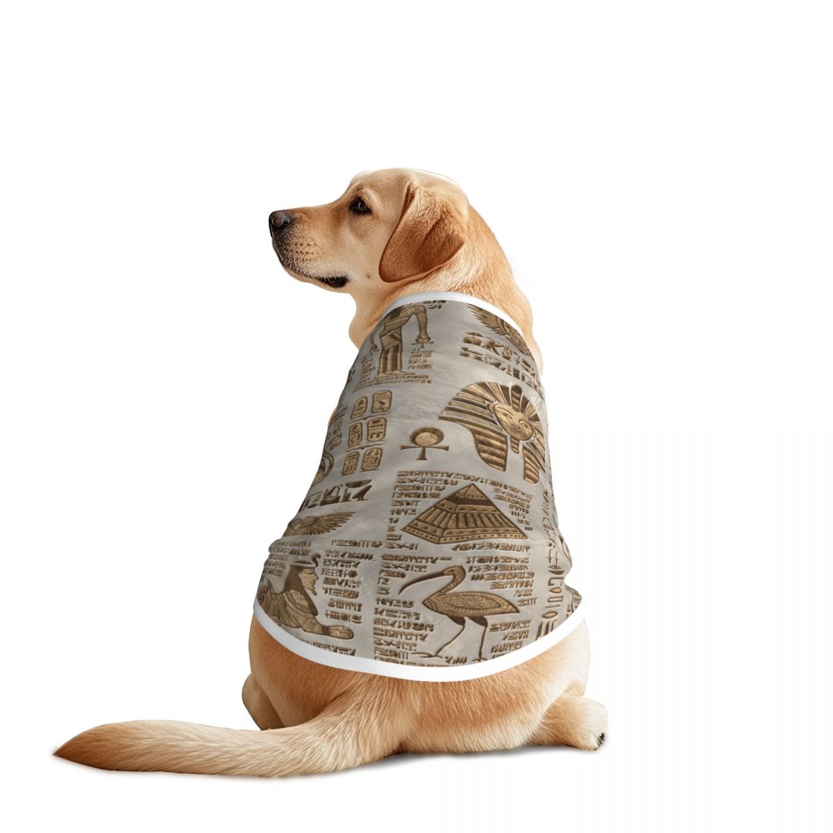 Hieroglif Mesir dan Dewa Rompi - Pet Supplies Egypt ulasan dan harga
