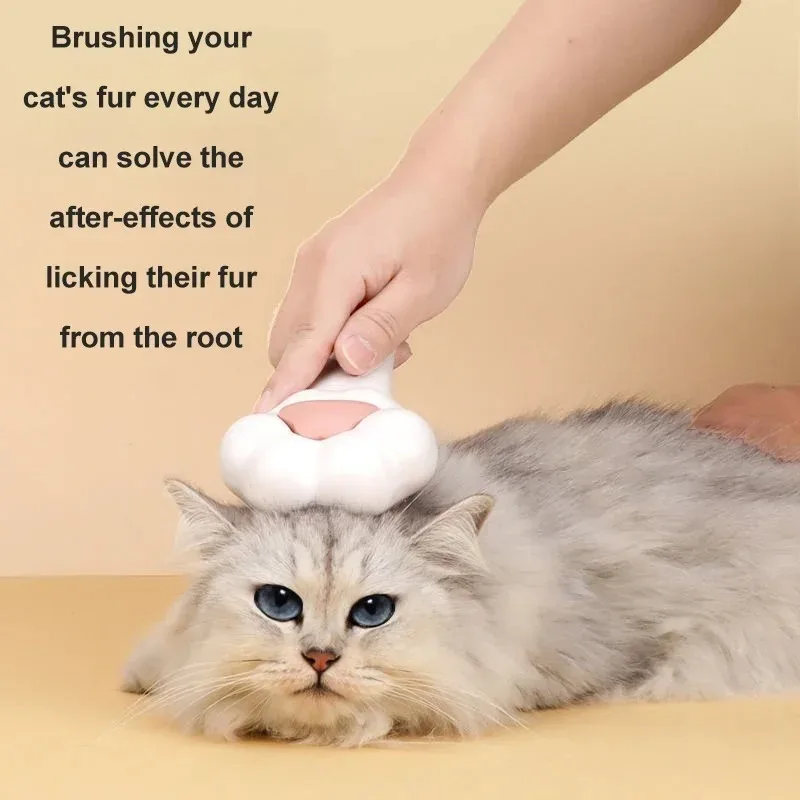 Sikat Perawatan Kaki Kucing Lu - Pet Supplies Dropshipping ulasan dan harga