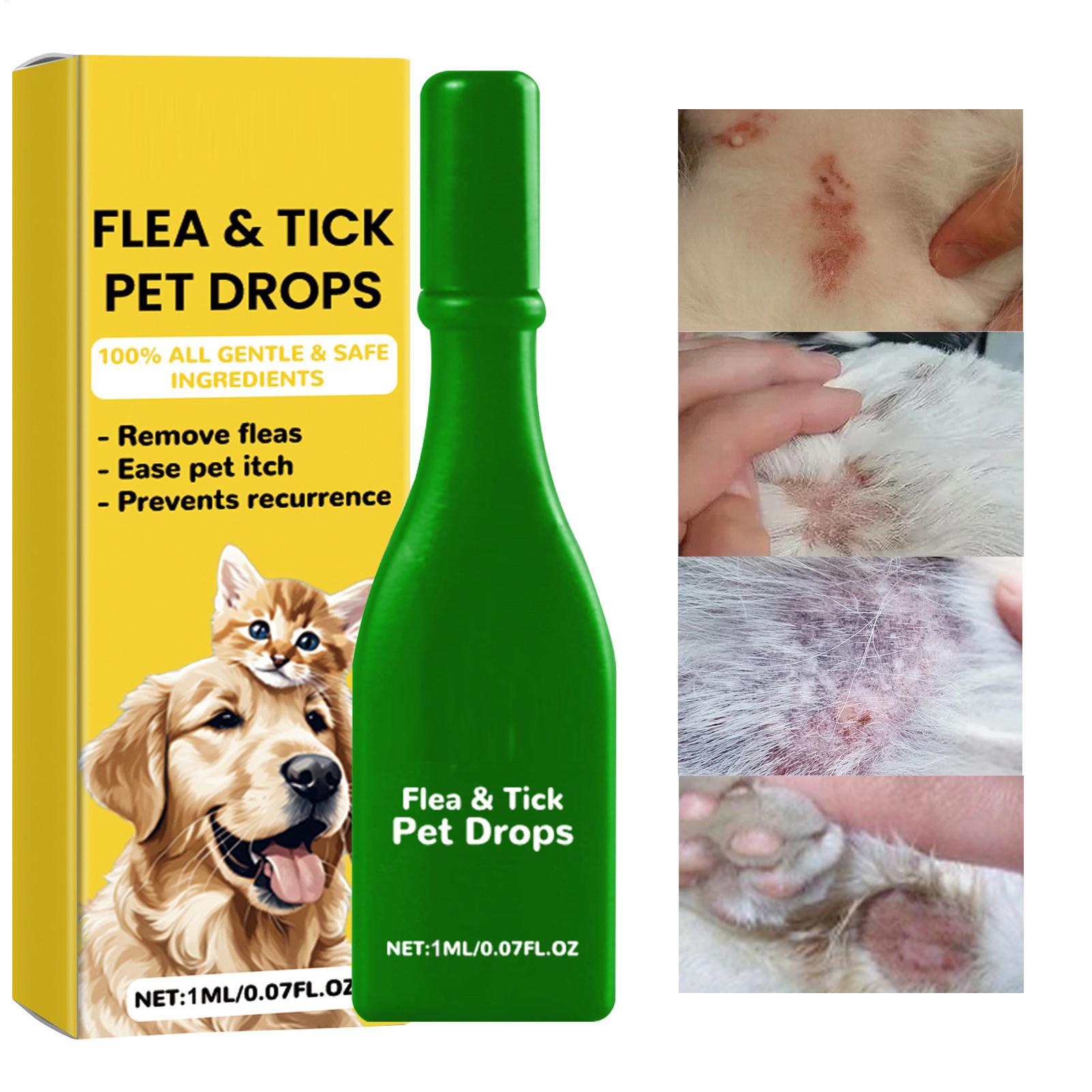 Obat Tetes Anti Kutu Kucing, M - Pet Supplies Dropshipping ulasan dan harga