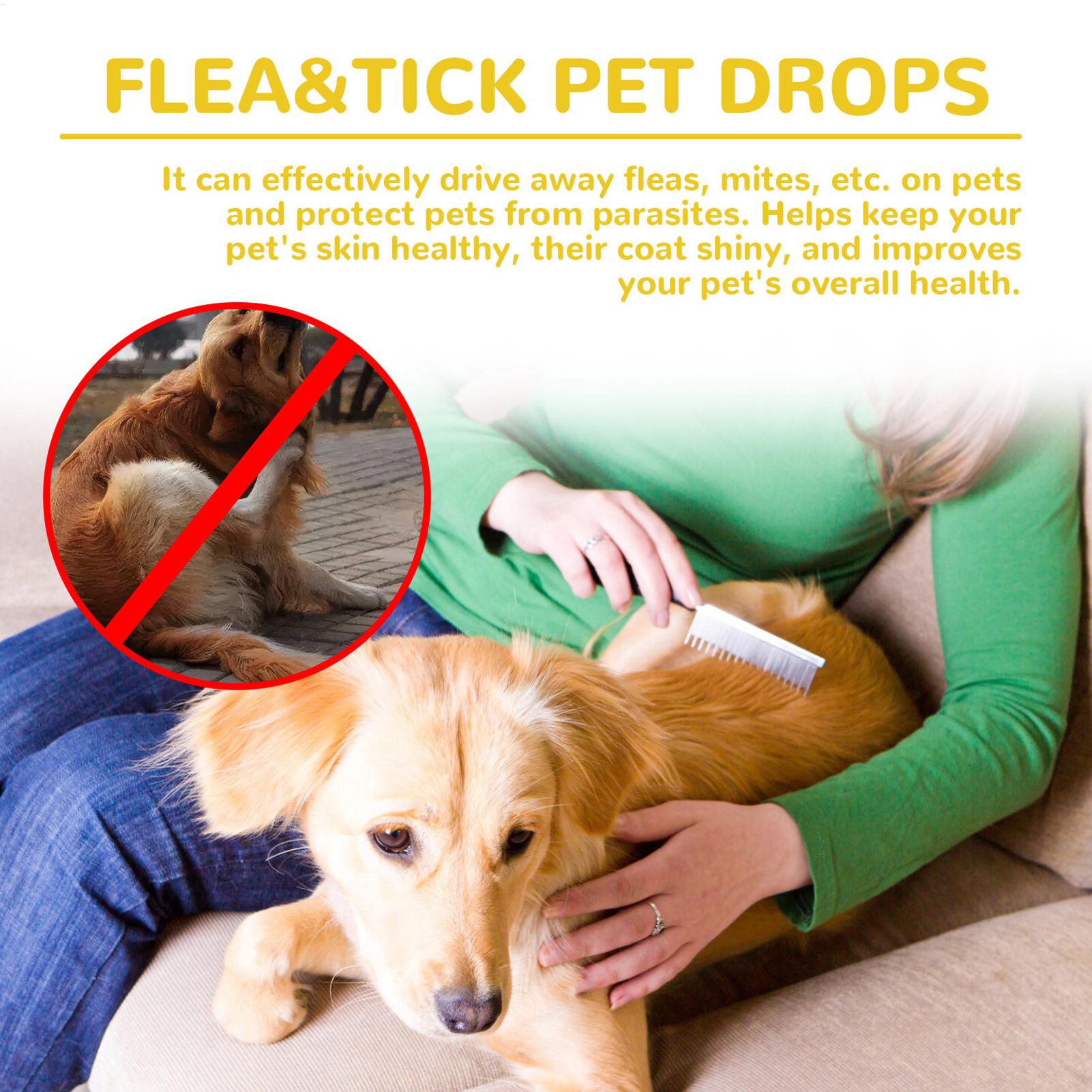 Obat Tetes Anti Kutu Kucing, M - Pet Supplies Dropshipping ulasan dan harga