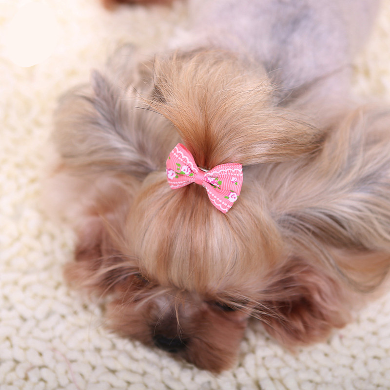 Jepit Rambut Lucu untuk Anjing - Pet Supplies York ulasan dan harga