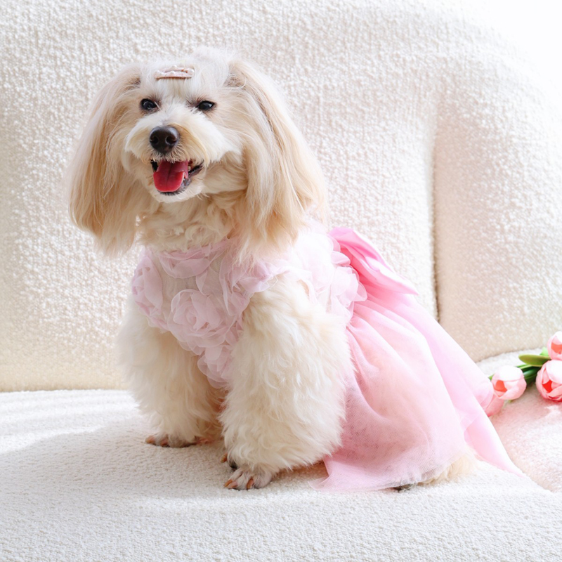 Pakaian Anjing Rok Putri Tipis - Pet Supplies York ulasan dan harga