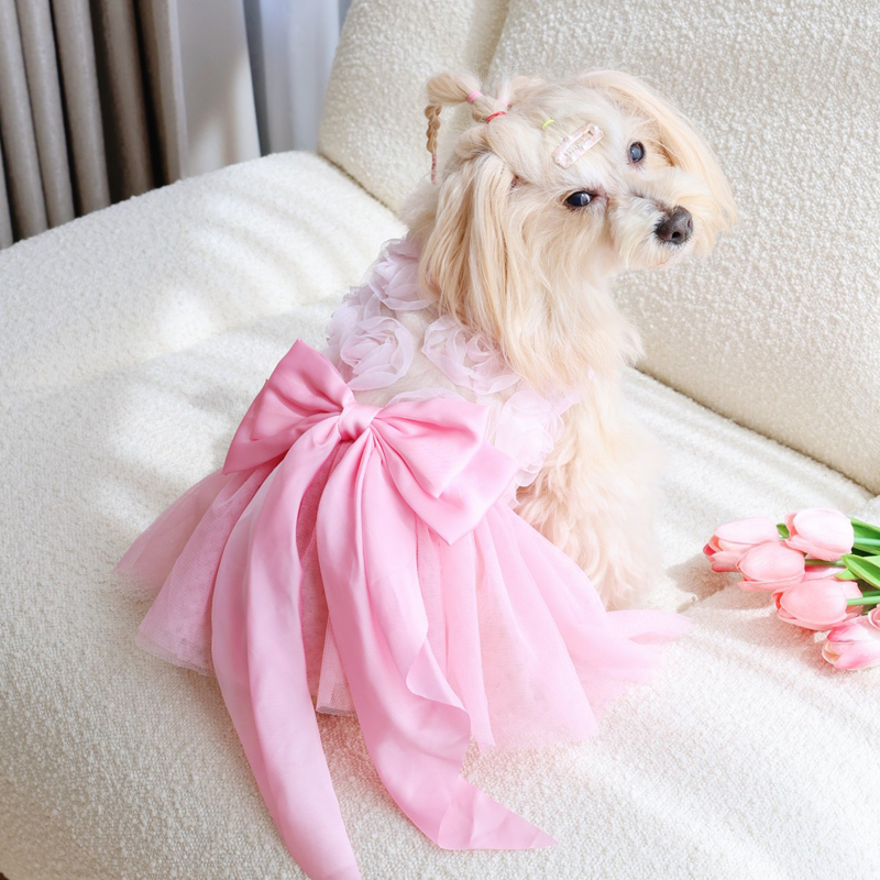 Pakaian Anjing Rok Putri Tipis - Pet Supplies York ulasan dan harga